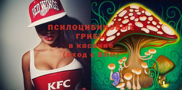 сатива Алексеевка