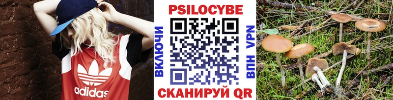 Псилоцибиновые грибы Magic Shrooms  Боровичи 